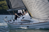 animal gbr1952l whw12 fri gjmc 8915